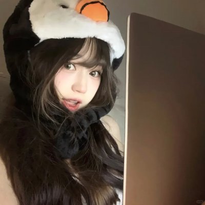 企鹅：极地追踪